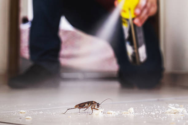 Best Cockroach Control Services  in Lincoln Park, NJ